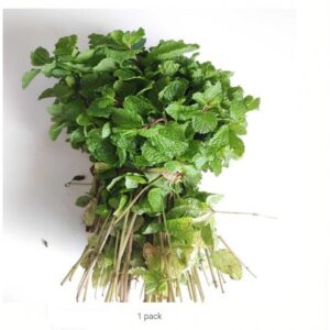 Pudina 1 bunch