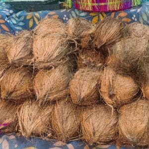 coconut for pooja