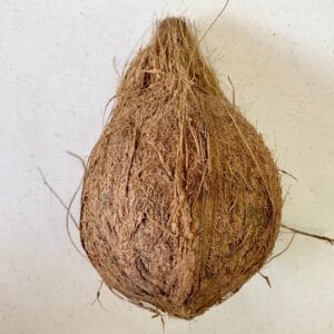 coconut 1 pcs