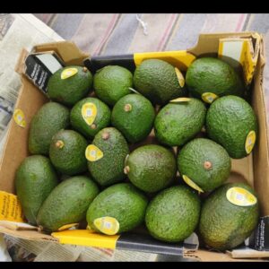 Avocado 1pcs
