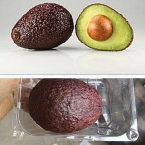 Avocado 1pcs