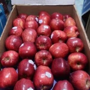Red delicious apple