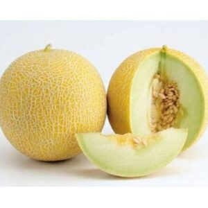 Bobby kharbuja/muskmelon