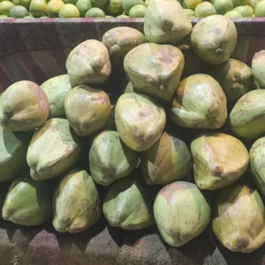 coconut