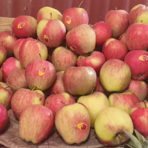 Apple Super Himachal