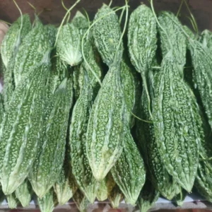 Karela